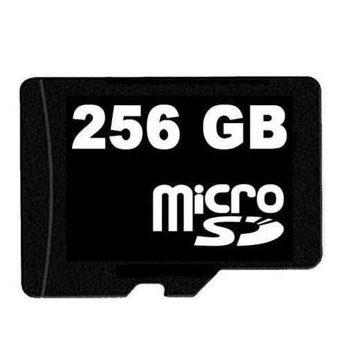 256GB Micro SD Card